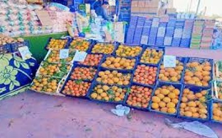 افتتاح سوق "اليوم الواحد" بمدينة الطور في جنوب سيناء