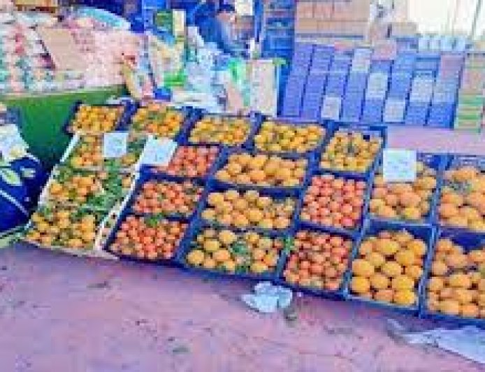 افتتاح سوق "اليوم الواحد" بمدينة الطور في جنوب سيناء